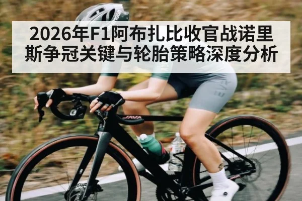 2026年F1阿布扎比收官战诺里斯争冠关键与轮胎策略深度分析